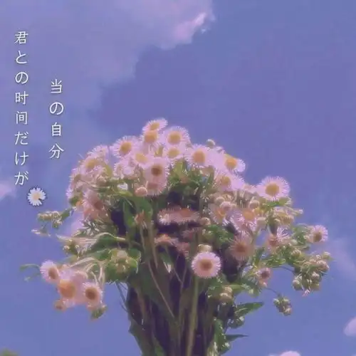 背景图时光太瘦,指缝太宽
