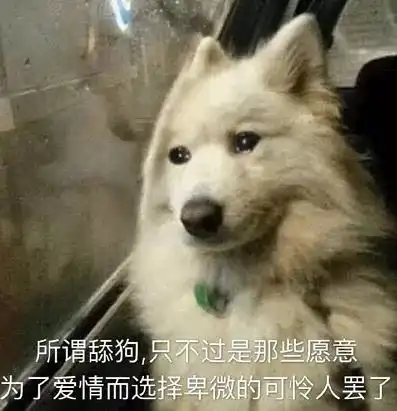 求求你别再当舔狗了
