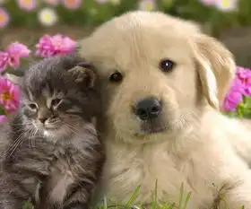 赵名辉塔罗测试他对我的居心
