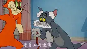 猫和老鼠东北方言高清重制版
