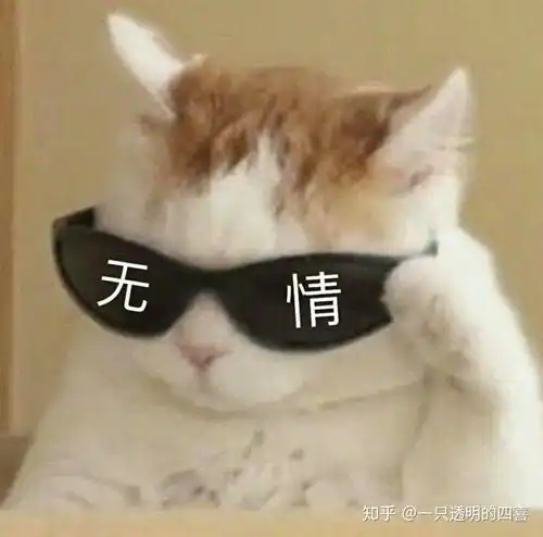 可爱猫猫表情包求一波..
