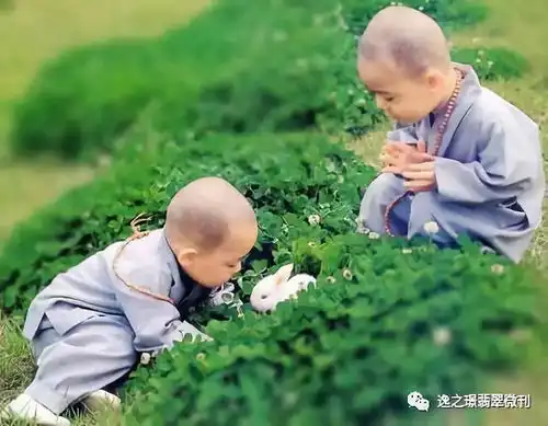 从细节中透露出一个人的文化
