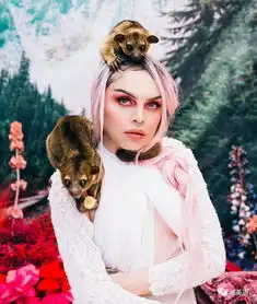 拯救黑市的动物的伟大照片
