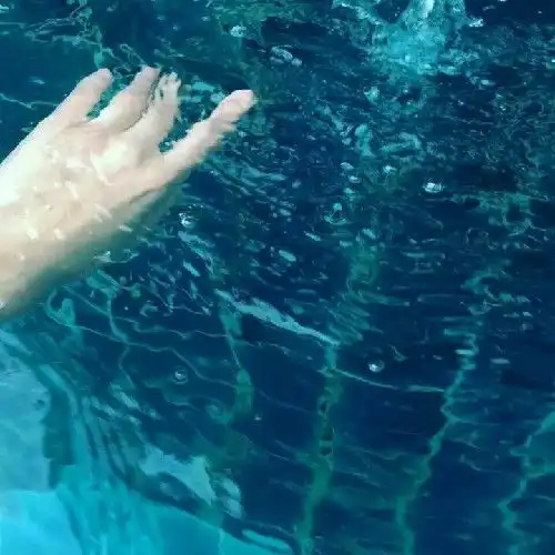 高清无水印适合女生用的头像
