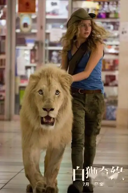 电影白狮奇缘上映热血少女与狮子共同成长

