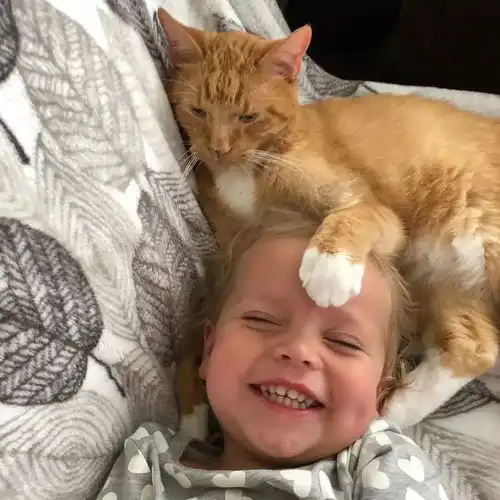 一张跨越13年的照片火了,流浪橘猫报恩13年,治愈了数10万粉丝
