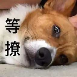 因为那个部位太丑,我一直不敢谈恋爱
