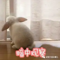 聊一聊你在饮食上那些健康与不健康的习惯
