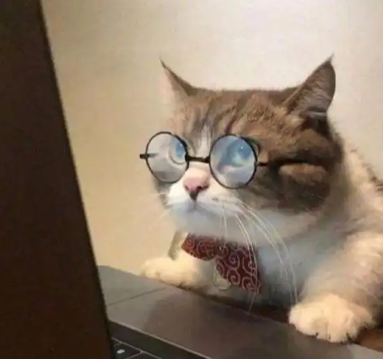 没喝到入秋后第1杯奶茶怎么办网友的反应太真实了哈哈哈
