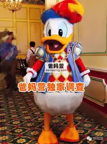上海迪士尼212岁孩子游园攻略高清绝美大图,爸妈营独家真实攻略
