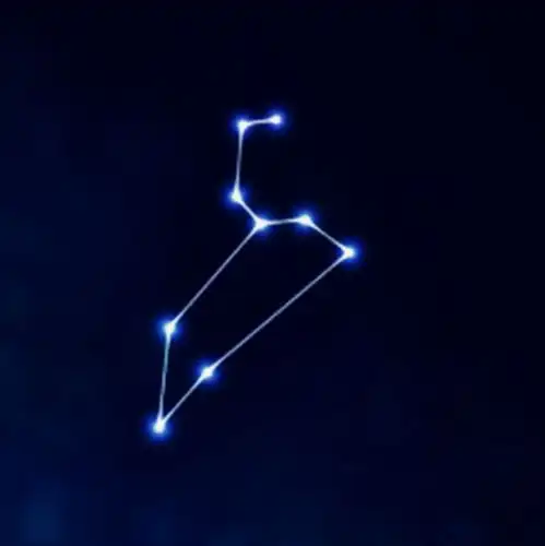 狮子座女生性格特点分析
