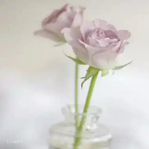 语录喜欢,是一种心情爱,是一种感情
