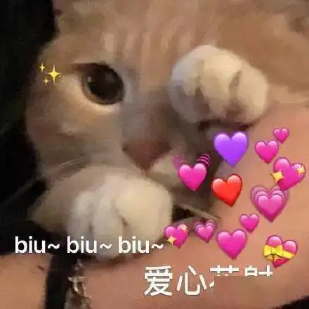 猫咪表情包接下来你是不是要凶我了
