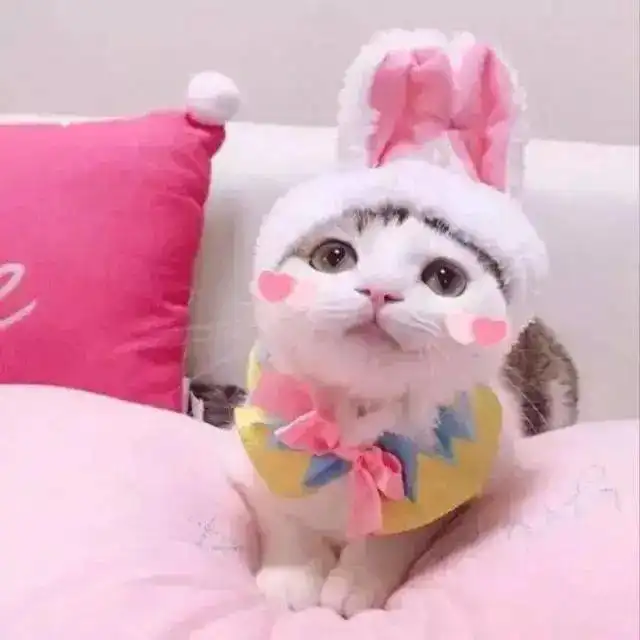 头像密码如果不正确输入一万次还是错的就像有些事情不是因为你的执着就对了
