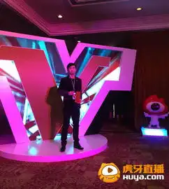 虎牙直播董小飒获大v奖亮相峰会地位受肯
