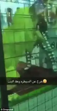 沙特阿拉伯港口城市吉达节庆活动狮子发狂扑倒女童
