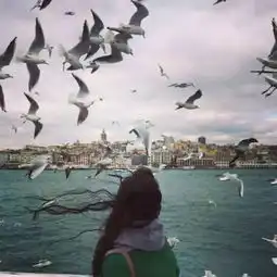 学会这几招,让你的五一出游照称霸朋友圈
