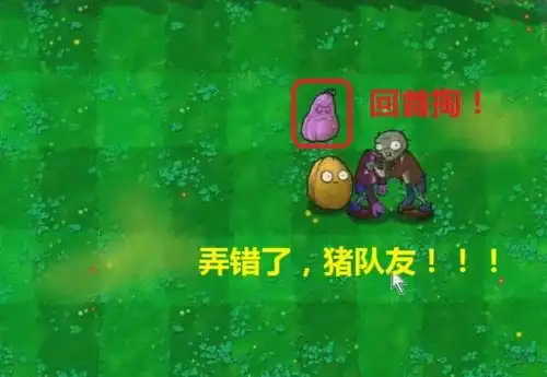 植物大战僵尸趣味bug窝瓜跳起触发小丑盒双发射手需1000阳光
