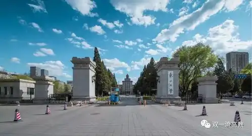 985大学,首篇nature为百年校庆献礼
