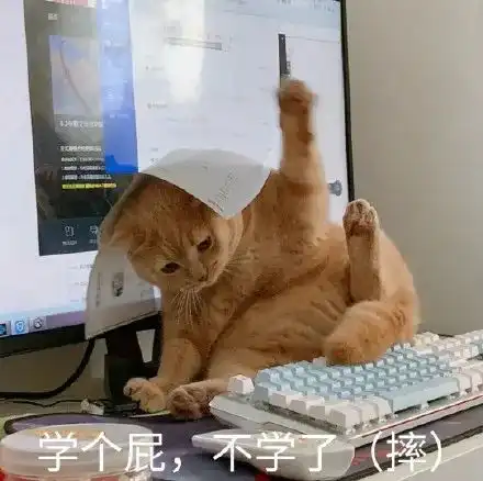 学生和老师哪个对成绩更重要
