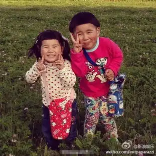 日本喜感兄妹网络走火丑萌尽显淳朴童真
