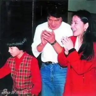 男星老婆差别大林凤娇原谅成龙出轨章小蕙败家破产
