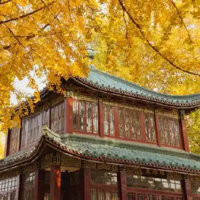 老人头像图片大全老年人专用微信头像
