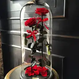 伦敦公司出售永不凋谢的美女与野兽玫瑰组图
