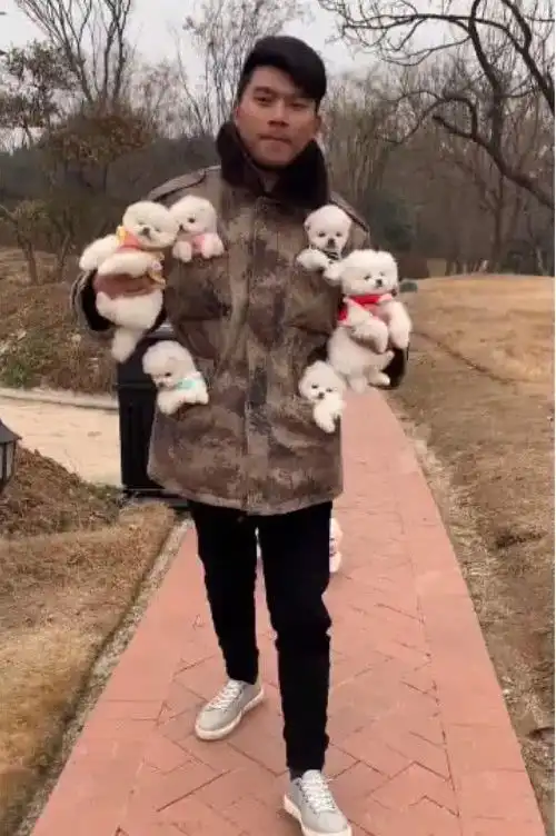 男子抱着六只小奶狗,走出了六亲不认的步伐,小哥哥你落下两只了
