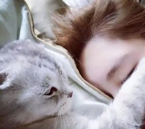 猫咪在你身边睡是因为爱你想太多了,它们可能另有所图

