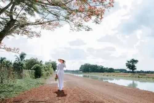 发朋友圈的人生哲理心情感悟说说,早安入心的句子
