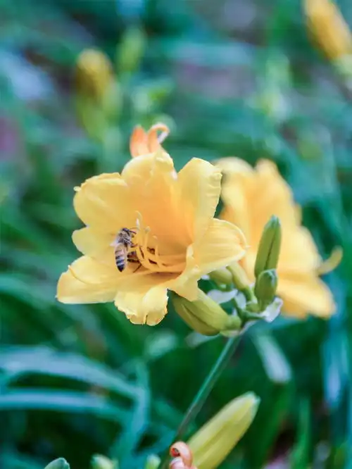 狮子座的女生像个小公主,在感情中,却能放下身段,无比温柔
