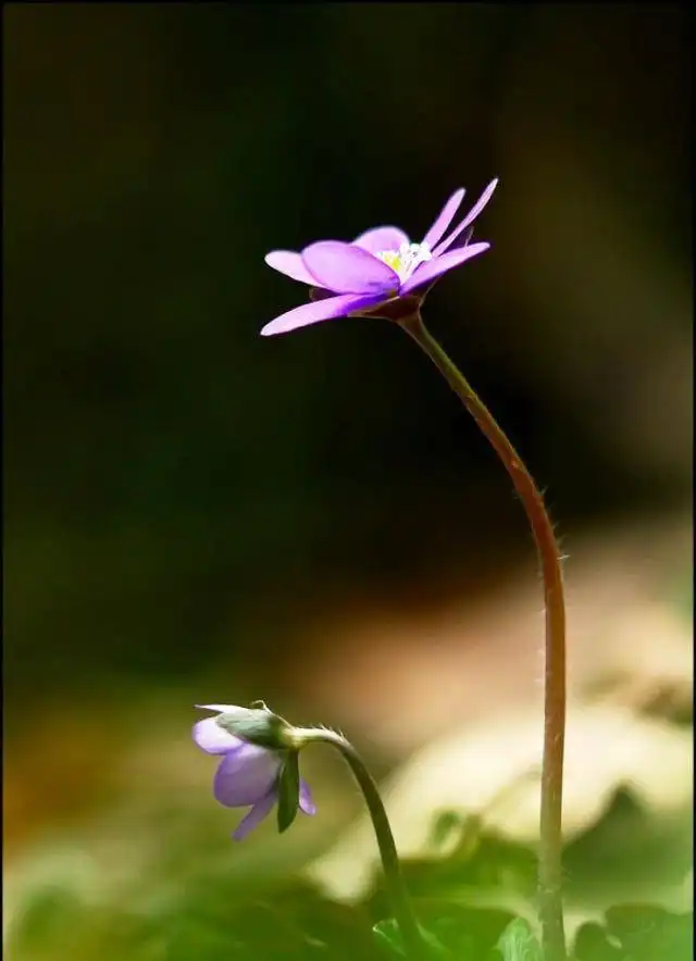 很精湛的个性签名,优雅有内涵,让人看了就想收藏
