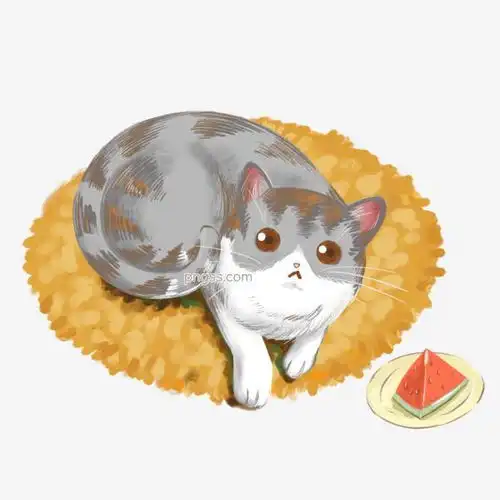 原创手绘猫咪素材可商用动物元素西瓜垫子图片大小2000x2000px图片尺寸1.95mb来自png搜索网pngss.com免费免扣png素材下载垫子动物动物素花猫居家可爱猫可商用猫咪手绘水果素材西瓜元素
