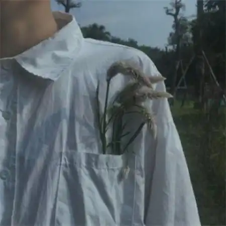 半身系唯美帅气意境干净男头,看不到脸的
