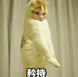 政关注别人家的老师上政何以琛
