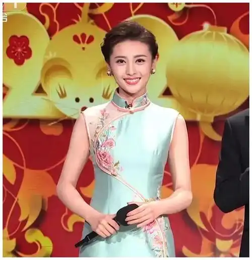央视春晚主持人官宣小尼超撒贝宁成元老,马凡舒接棒董卿被力捧
