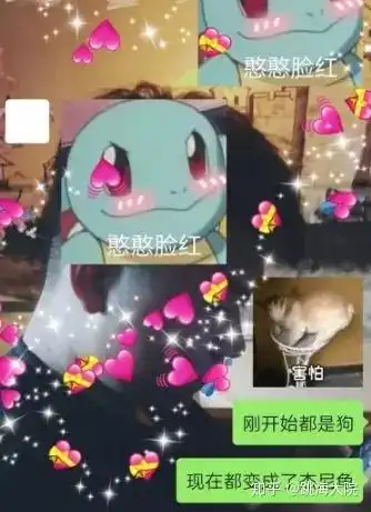 为什么精灵宝可梦的御三家里,只有杰尼龟被大量做成表情包
