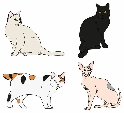 彩绘猫咪手绘矢量制作
