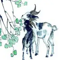 属羊微信吉利头像微信头像图片大全
