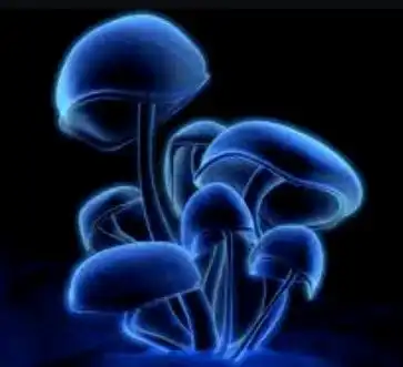 gta再度坐实电子乐和跑车最为般配
