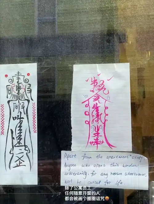 这届年轻人的行李箱为什么都贴着它
