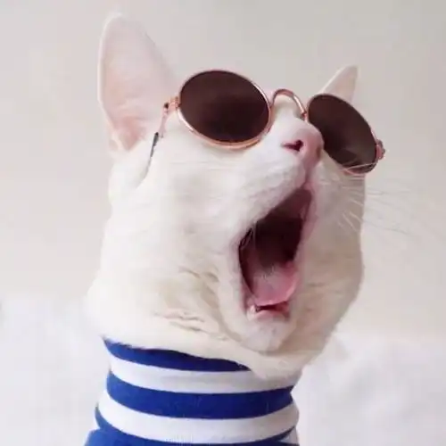 童年的创伤会在爱情里发作
