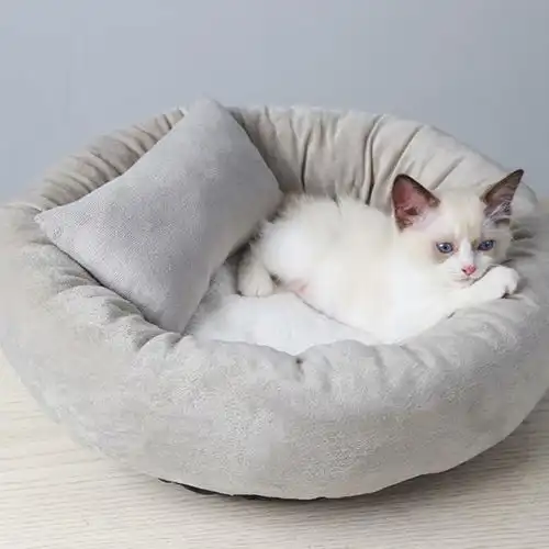 网红猫窝夏季猫床加绒猫垫睡觉睡垫别墅猫咪用品宠物狗窝四季通用
