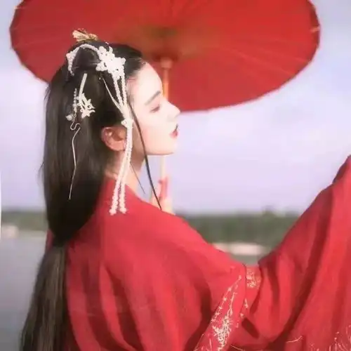 古风头像不愿染是与非
