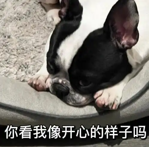 鹿晗晒宠物照怼狗仔,张小寒大方回应,网友还知道对号入座
