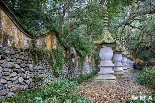 浙江一定要去的5a景区,植被繁茂景色优美,有山水神秀的美誉
