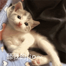 收图时间到
