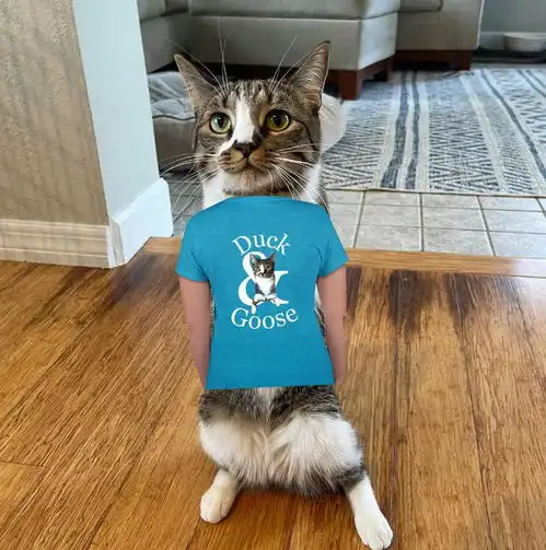 这只治愈系的恐龙猫,能让你告别精神内耗
