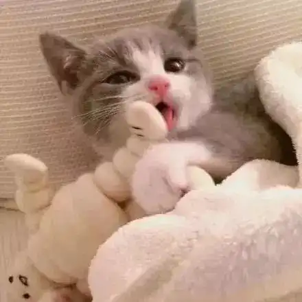 今日福利超级好看的朋友圈背景图,不要错过哟
